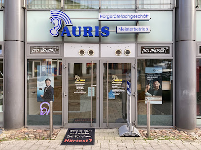 Hörgeräteakustiker Auris Hörsysteme