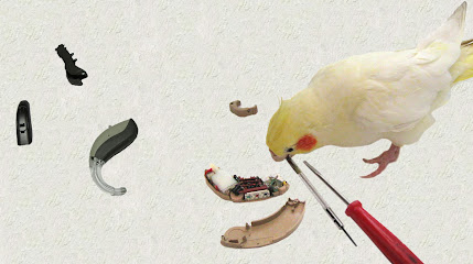 Hörgeräteakustiker Born Hörgeräte