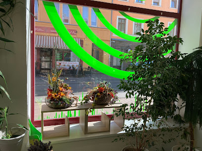 Hörgeräteakustiker HörErlebnis