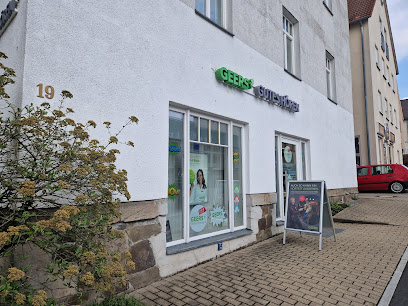 Hörgeräteakustiker terzo-Institut